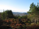Strathpeffer View Rock walk (14)