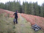 Heading through the forest on new track