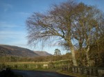 Stunning light at Druimavuic, Loch Creran